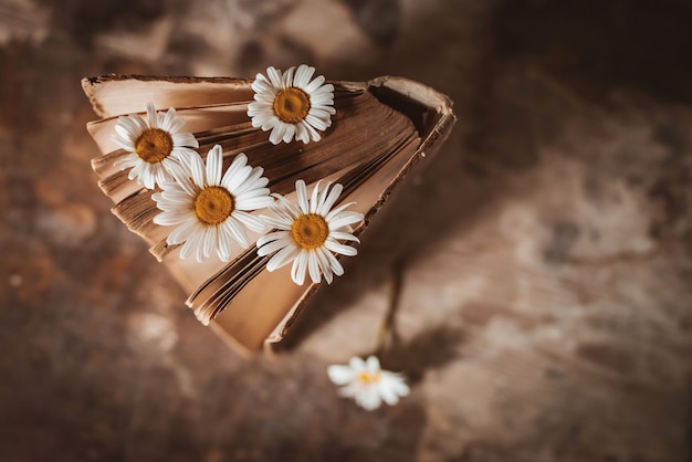 Old books with flowers of white field daisies.