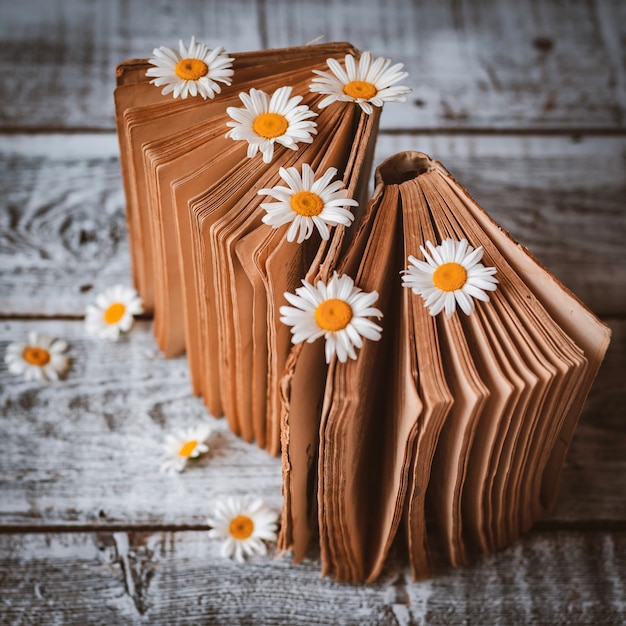 Free Photo old books with flowers of white field daisies.