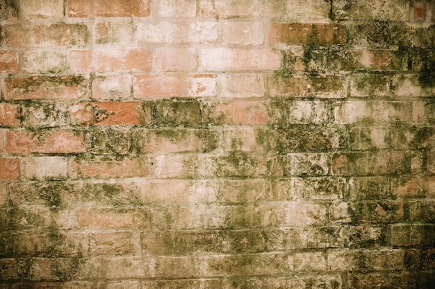 Free photo old brick wall with lichen