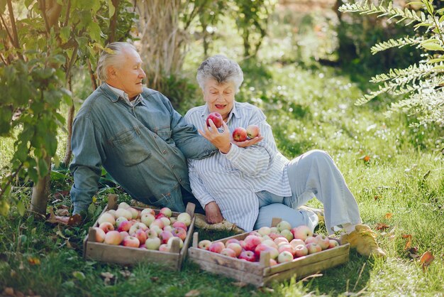 Old couple sitting in a summer garden with harvest