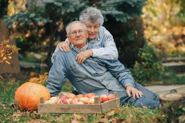 Old couple sittingin a summer garden with harvest