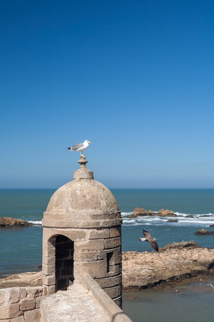 old fortress in Essaouira, Morocco