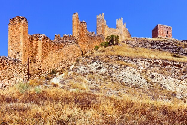 Old fortress wall