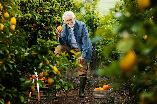 Free photo old man standing next to his orange trees