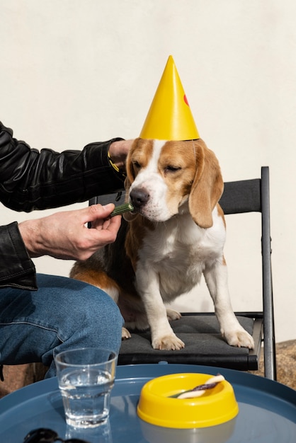 Free photo old person with their pet dog