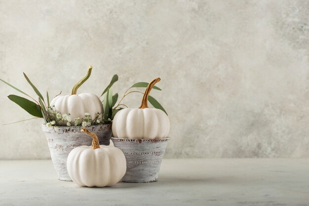 Old pots with white pumpkins and leaves arrangement