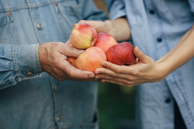 Free photo old senior standing in a summer garden with apples