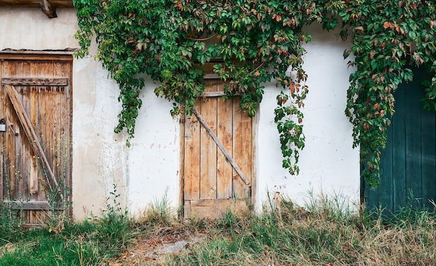 Free photo old try with a wooden textured door, an old wall with crumbling plaster, overgrown with wild grapes. natural destruction of the structure