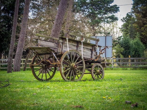 Free Photo old weathered carriage at the garden during daytime