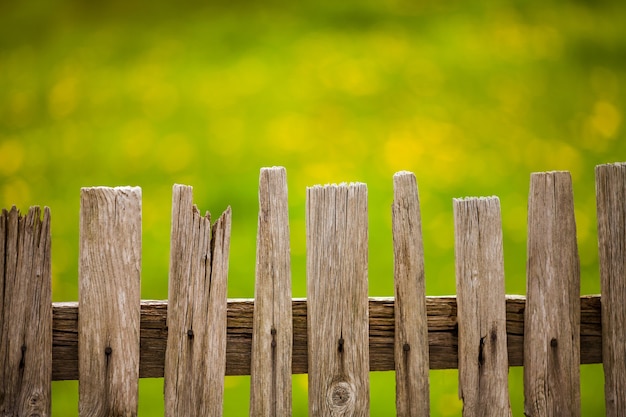 Old wood fence in garden