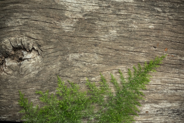 Old wood surface with wood grass used as background