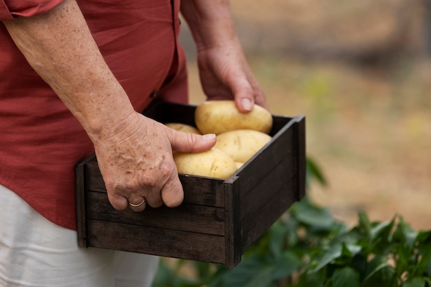 Free Photo older woman holding crate of potatoes from her countryside home garden