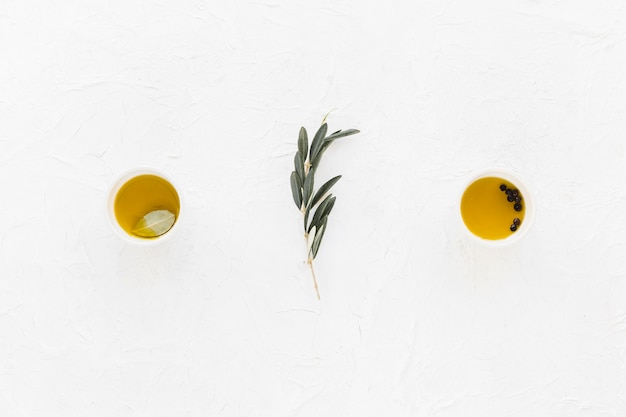 Free photo olive twig with black pepper and olive oil in the bowls