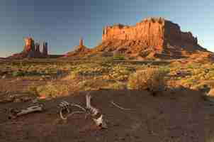 Free photo oljato-monument valley in arizona, usa during the sunset