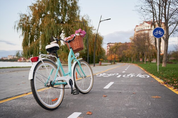 One blue women's retro bike on cycle path