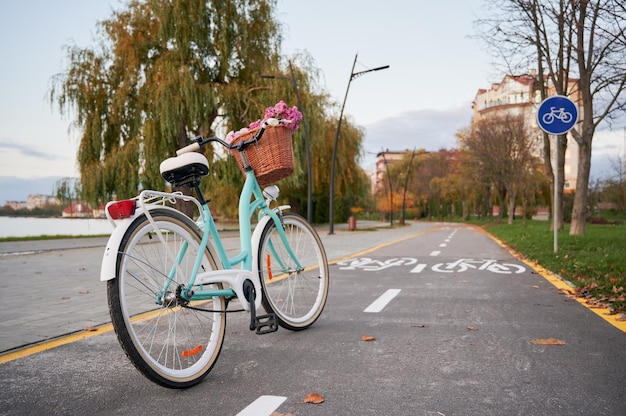 One blue women's retro bike on cycle path