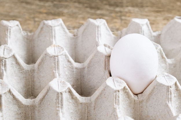 One white egg in the pack on wooden background.