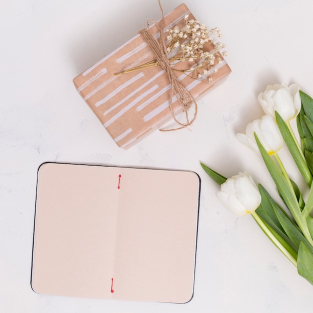 Open blank card; gift box with tulip flowers on white backdrop