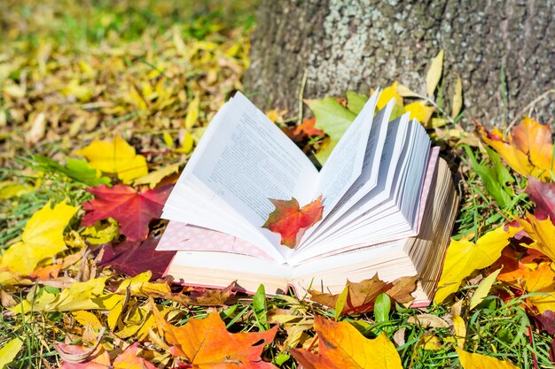 Open books with leaves around