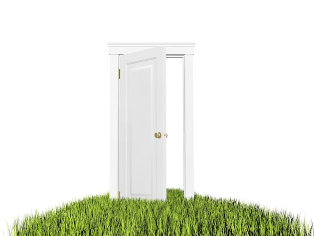 Free photo open door on the grass