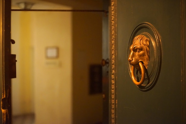 Open door and lion head