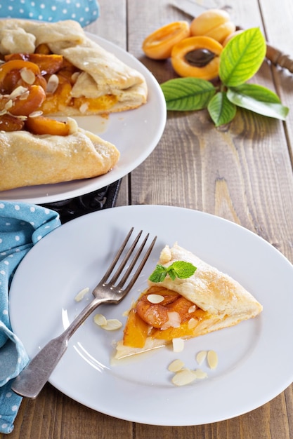 Free photo open pie with apricots