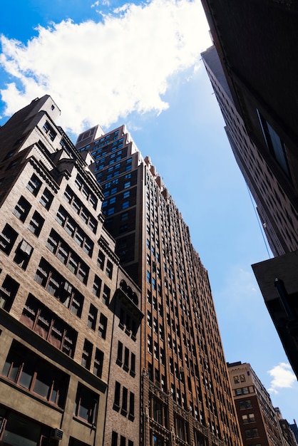 Opposite high rise buildings up view in perspective