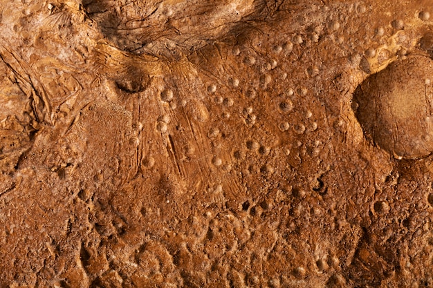 Free photo orange details of moon texture concept