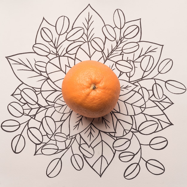 Free Photo orange fruit over outline floral background