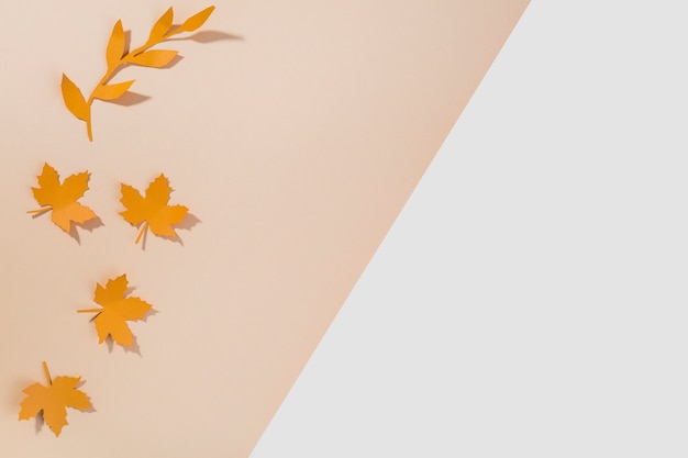 Orange paper leaflets on table