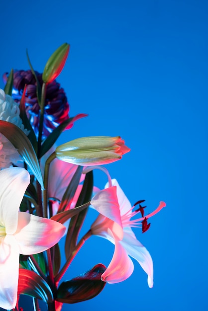 Free photo orchid flower and chrysanthemum flower against blue background