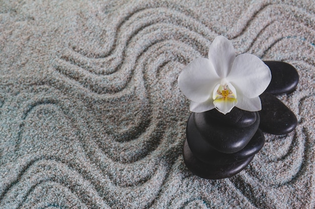 Free photo orchid and stones on towel