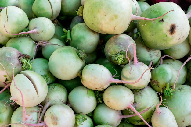 Organic market fresh white radish surface