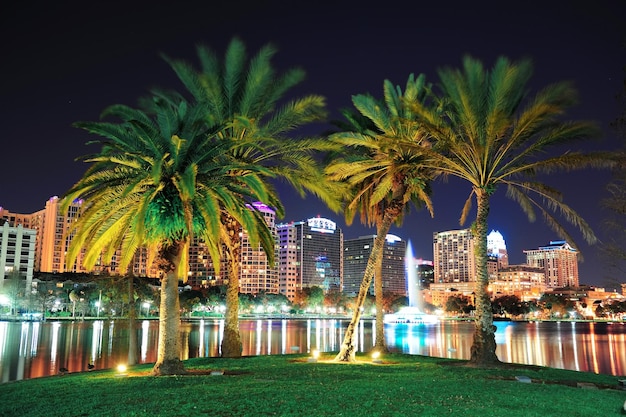 Orlando night scene