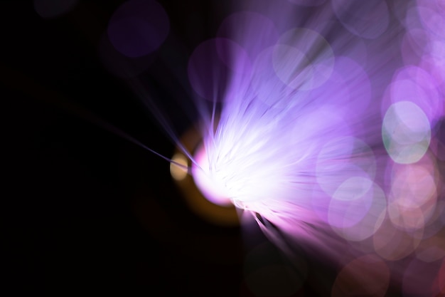 Free Photo  out of focus fiber optics lights 