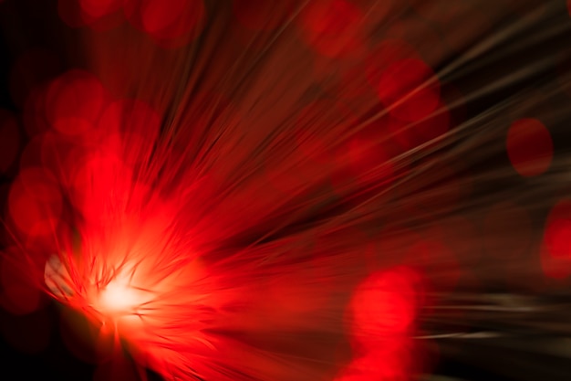 Free Photo  out of focus red fiber optics lights 