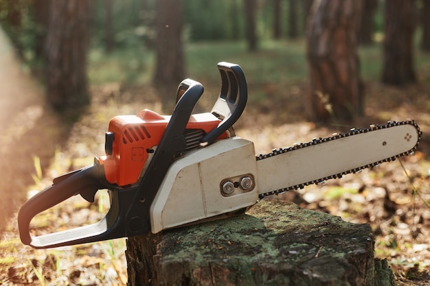 Free photo outdoor closeup shot of chainsaw on stump in wood