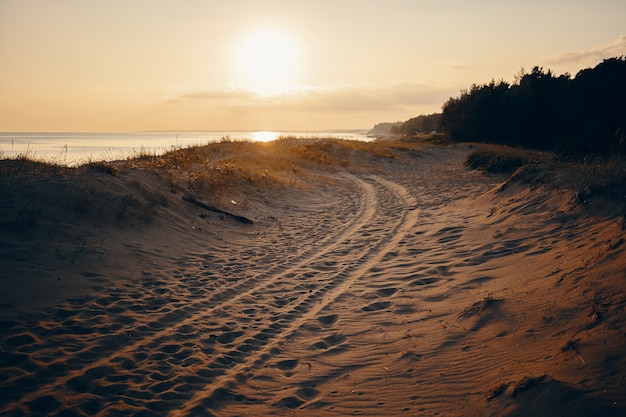 Free photo outdoor summertime portrait of tyre tracks on sandy beach with pinkish sky, sea and trees. deserted beach with four drive vehicle tire tracks. nature, vacations, seaside and travel