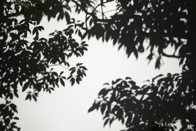 Free photo outdoors abstract shadow in daytime