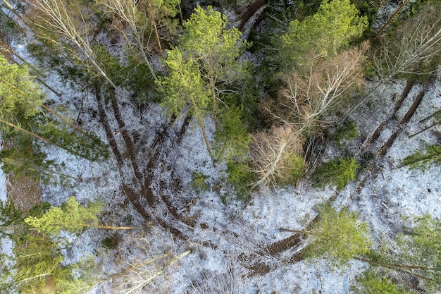 Free photo overhead shot of an agricultural field in the countryside