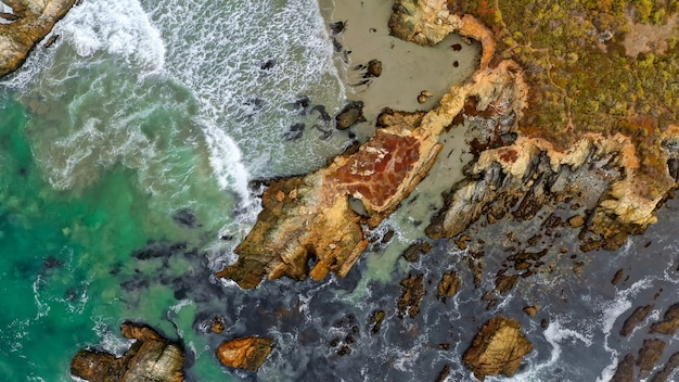 Free photo overhead shot of coral reefs at the coast of the sea with amazing water textures and waves