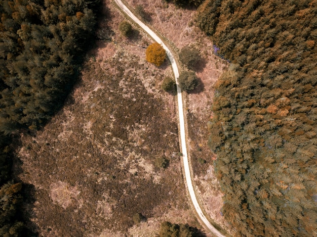 Overhead shot of a narrow road in a forest in a Puddletown Forest in Dorset, UK