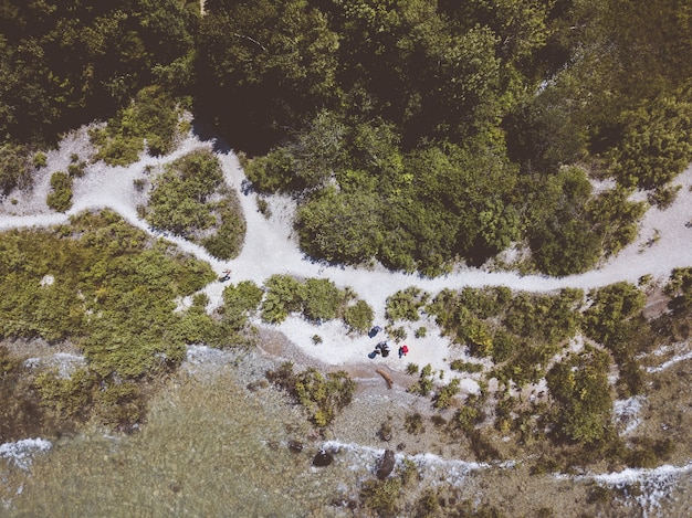 Free photo overhead shot of sea waves hitting the shore covered in green leafed trees at daytime