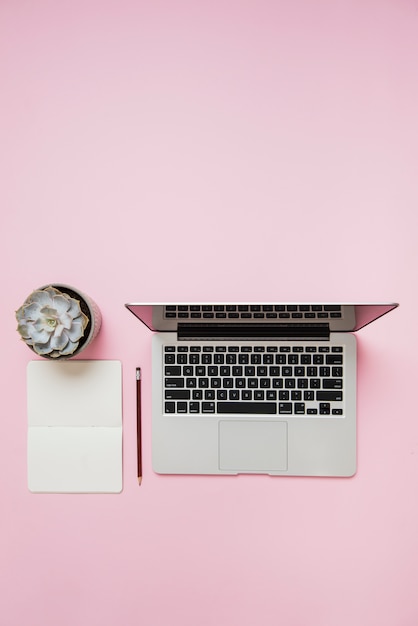 An overhead view of cactus plant; notebook; pencil and an open laptop on pink background