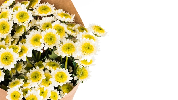 Free photo overhead view of chamomiles flower bouquet against white background