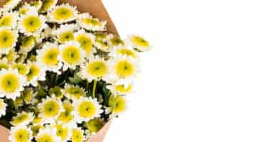 Free photo overhead view of chamomiles flower bouquet against white background