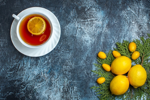 Overhead view of a cup of black tea with lemon and citrus fruits collection on fir branches on dark background