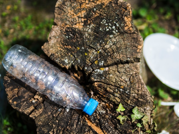 Overhead view of empty plastic water bottle on tree stump