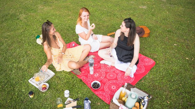 An overhead view of female friends enjoying at picnic