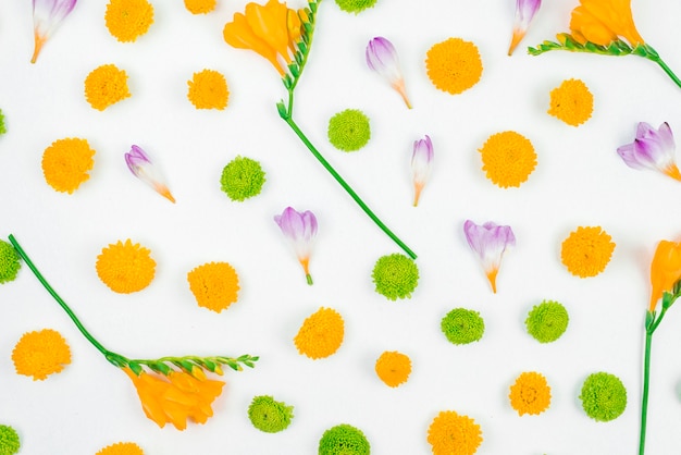 Free photo an overhead view of flowers pattern on white background